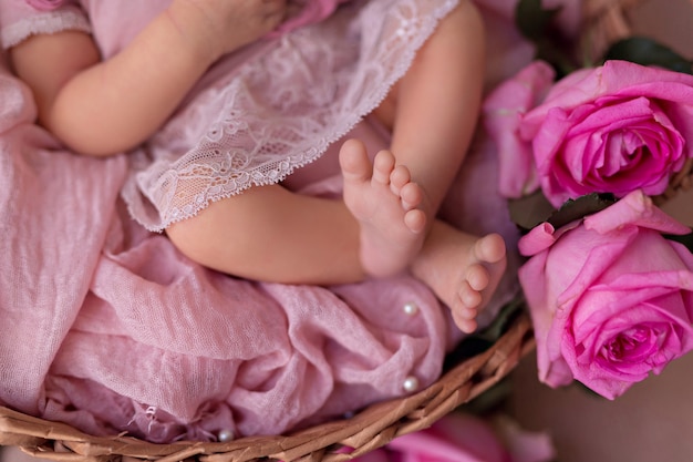 Newborn baby girl sleeping in retro basket with pink garden roses flowers