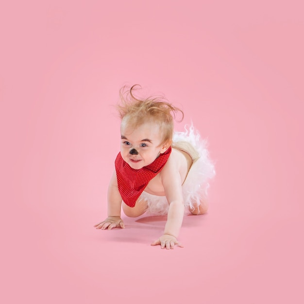 Newborn baby girl wearing a Halloween costume on pink studio background