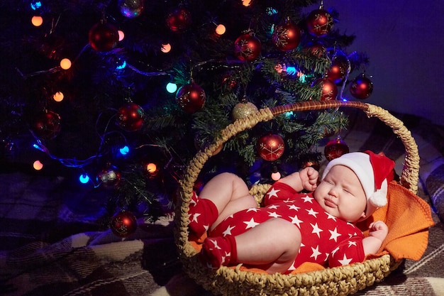 Newborn baby sleeps in a Santa Claus hat under a Christmas tree in a basket