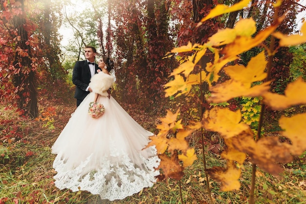 Photo newlyweds in the autumn forest enjoy the nature