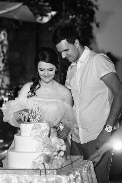 Newlyweds happily cut, laugh and taste the wedding cake