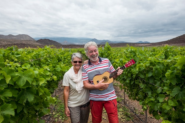 nice beautiful adult couple white hair walk on the fields of wine playing an ukulele guitar