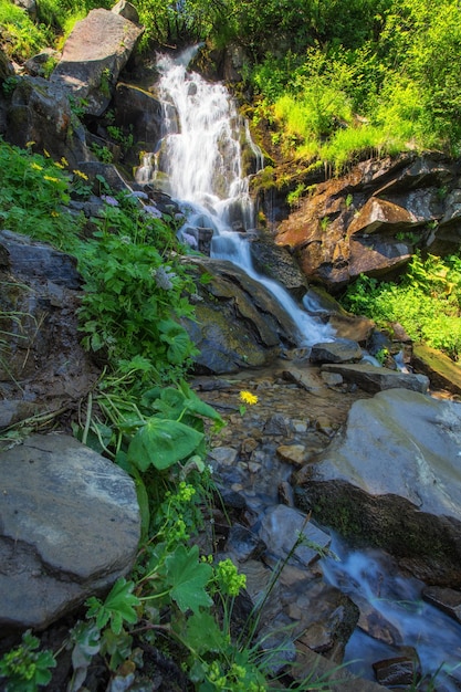 Nice beautiful mountain stream