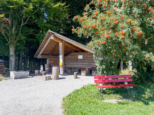 A nice corner to rest at Mount Etzel