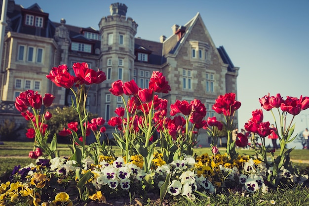 Nice Magdalena Palace in Santander Spain