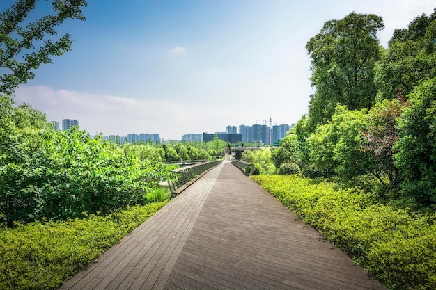 Nice park in the city with paths in the trees