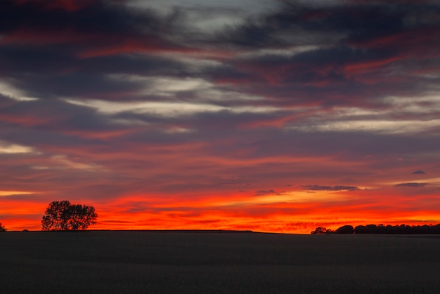 nice picture of sunset in the field with cloudy sky