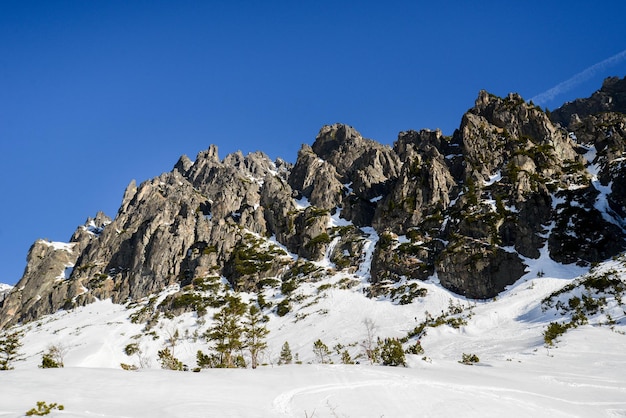 Nice scenery with big rocky mountains in Small Cold valley on hike in High Tatras, Slovakia.