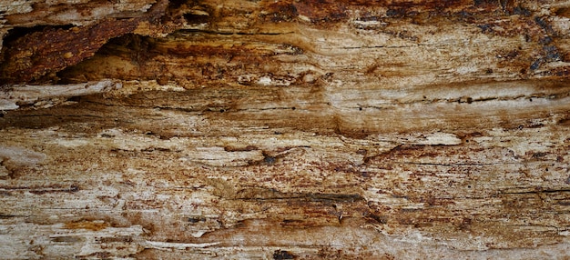 nice textured wooden background