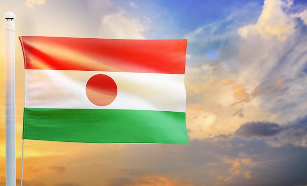 niger country flag, isolated 3d waving flag,