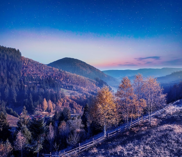 Night in the autumn mountains Starry sky yellow leafy trees and fog