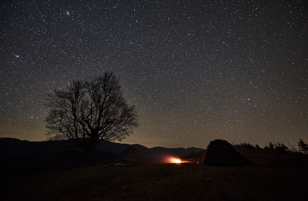 Night camping in mountain valley under starry sky