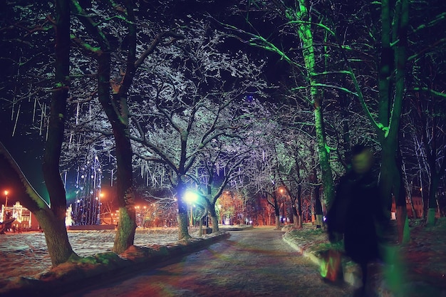 night city winter / landscape in January city lights decorated for holidays, trees in a city park, winter landscape