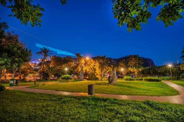 night exposure in the city park