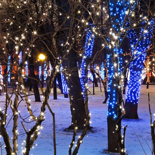 Night illumination of Moscow boulevard