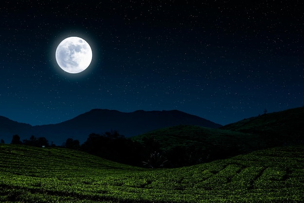 Night landscape in village with moon and stars