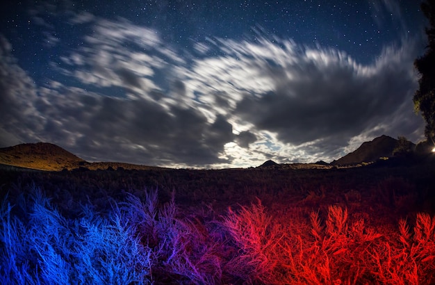 Night landscape with blue and red field