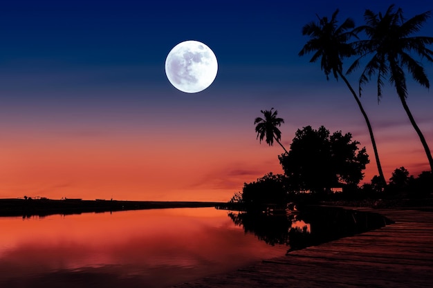 Night landscape with river and coconut tree