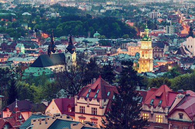 Night Lviv view