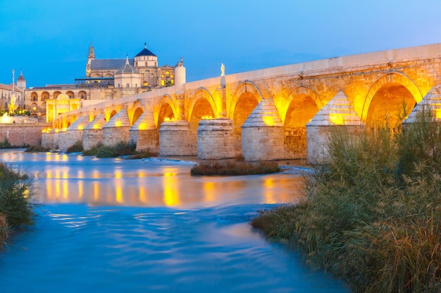 Night Mezquita and Roman bridge in Cordoba Spain