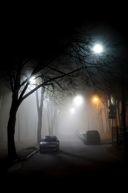 Night street lit by a lantern. Fog. Cars on the sidelines. Eerie landscape