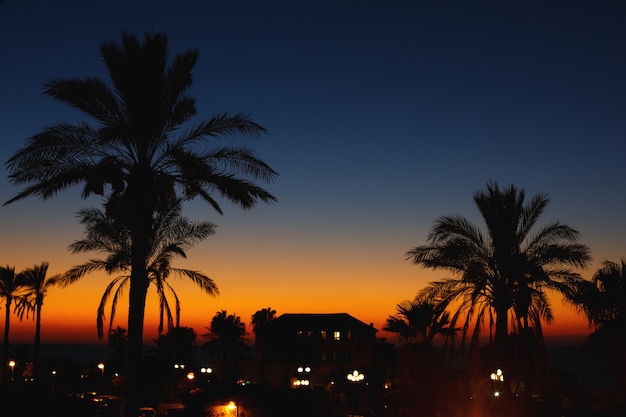 Night view in the old city. Jaffa, Israel.