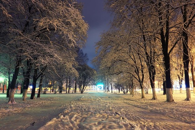 Night winter landscape in amazing city