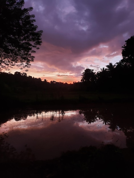 Nightfall Silhouettes Panoramic Shadows in the Night Sky Nightfall Silhouettes Panoramic Shadows in