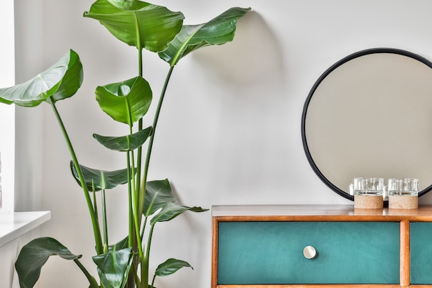 Nightstand with plants and other accessories that decorate the house