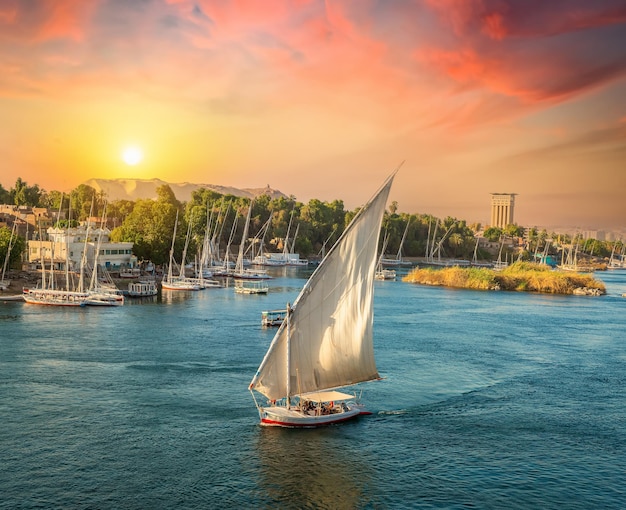 Nile coastline and feluccas