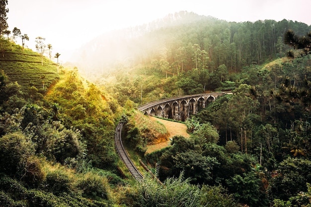 Nine-arch bridge in Sri Lanka. Beautiful railway bridge in Asia. Nature of Sri Lanka. Tea plantations in Asia. Colonial architecture