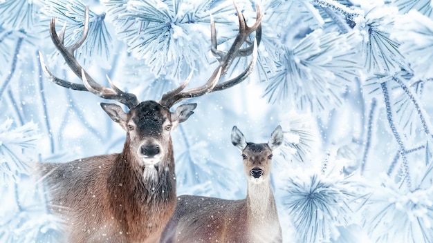 Noble deers in a fabulous coniferous snowy forest Winter wonderland Banner format