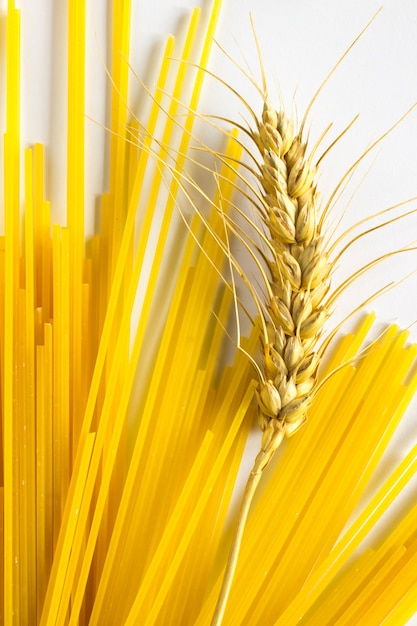 Noodles and Wheat on a white background