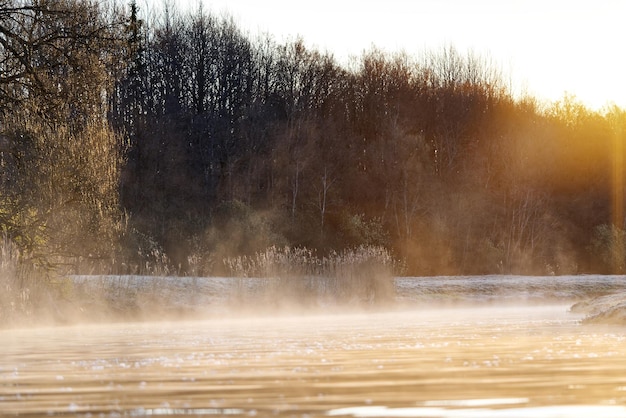 Nordic early morning after a cold night fog forms from the warm wetland in nature and the sun lights