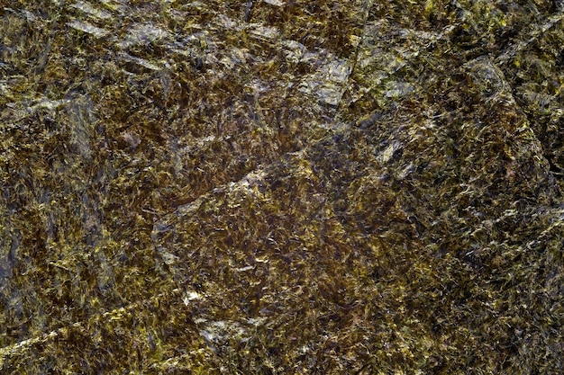 Nori seaweed sheet