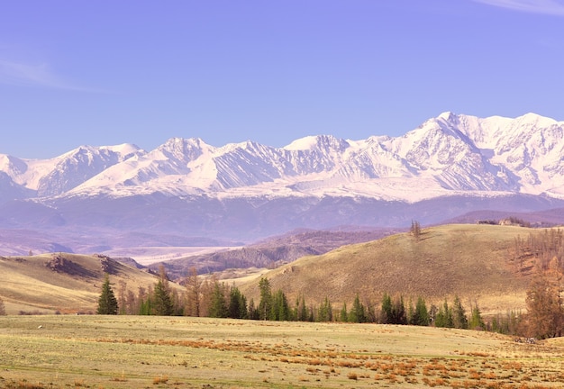 The NorthChui range in the Altai Mountains Forest and dry grass on the mountainside