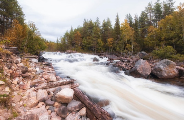 Northern turbulent river beyond the Arctic Circle Stream on the threshold of Kolva or Kolvitsi in autumn with a long exposure