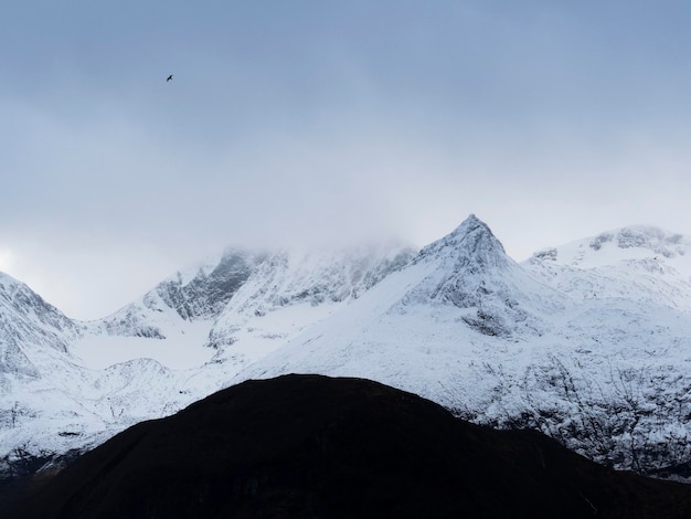 Norway Fjords snowy landscape during the day light.