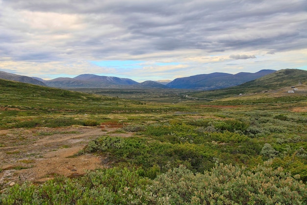 Norway Lookout Buro