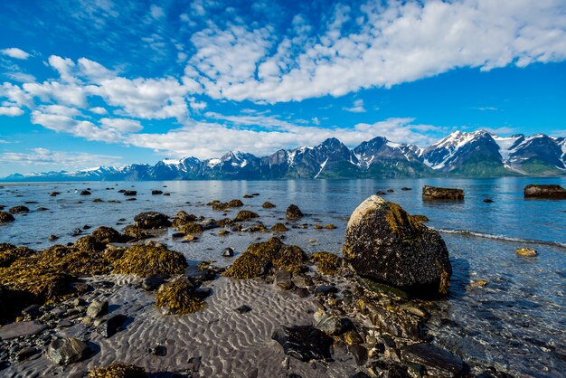 Norway Stones on the coast of the Norwegian Sea