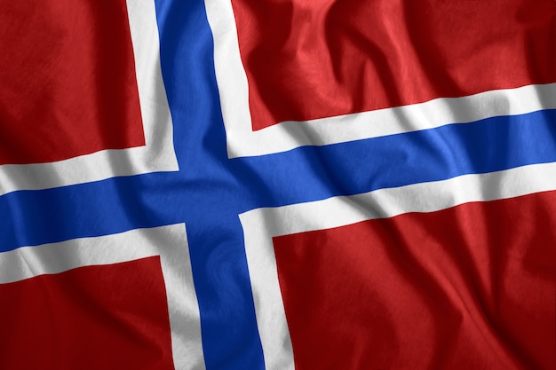 The Norwegian flag