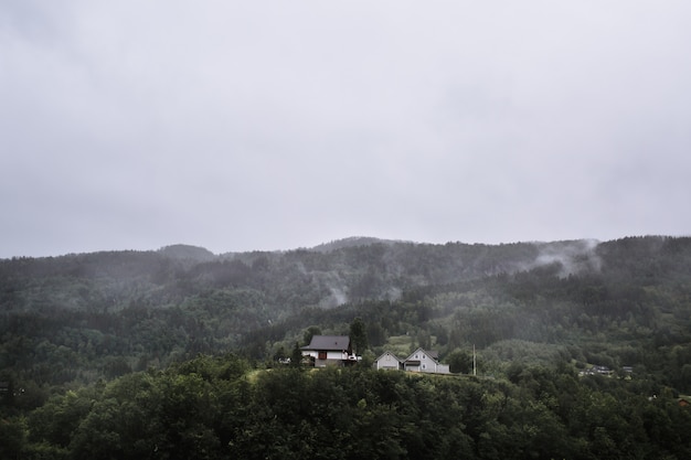 Norwegian landscape with a small village in the forest