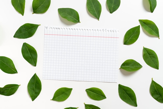 Notebook Sheet With Checked Patterned Lines Placed Between Fresh Leaves For Layout Of Invitation And Cards Empty Page Surrounded With Foliage Leafage For Creative Banner