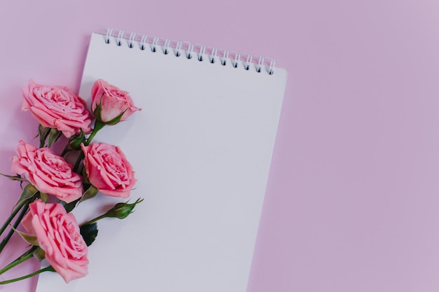 Photo notebook with blank page and rose flowers on pink background