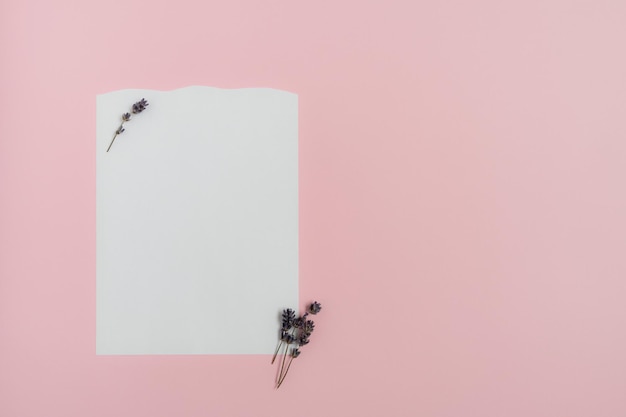 A notebook with white paper and lavender flowers on a pink background A note