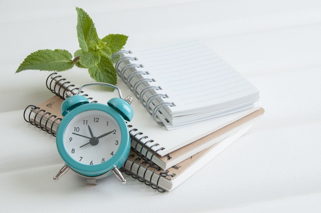 Notebooks on white wooden background