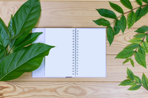 Notepaper with leaf branches on wooden floor