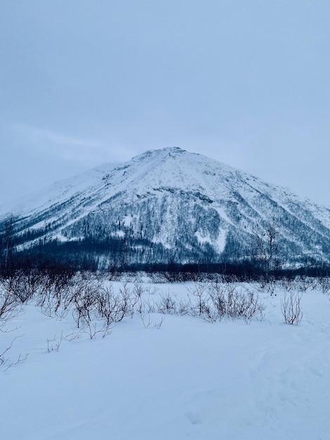 Nothern winter landscape Northern winter nature lonely mountain