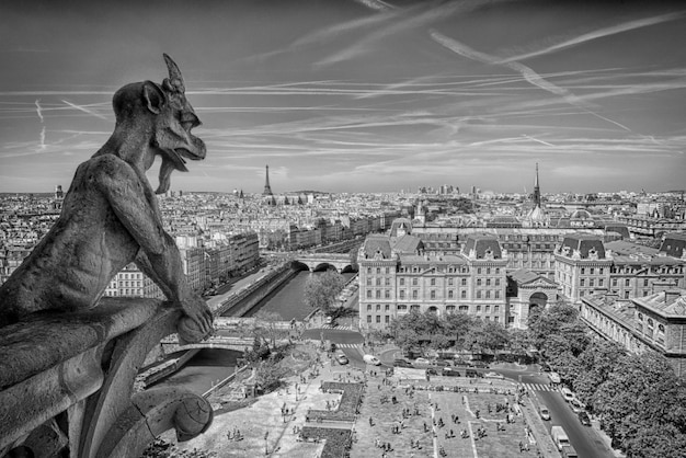 Notre dame gorgoyle paris view