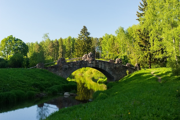 Novosilvia bridge in Pavlovsky park